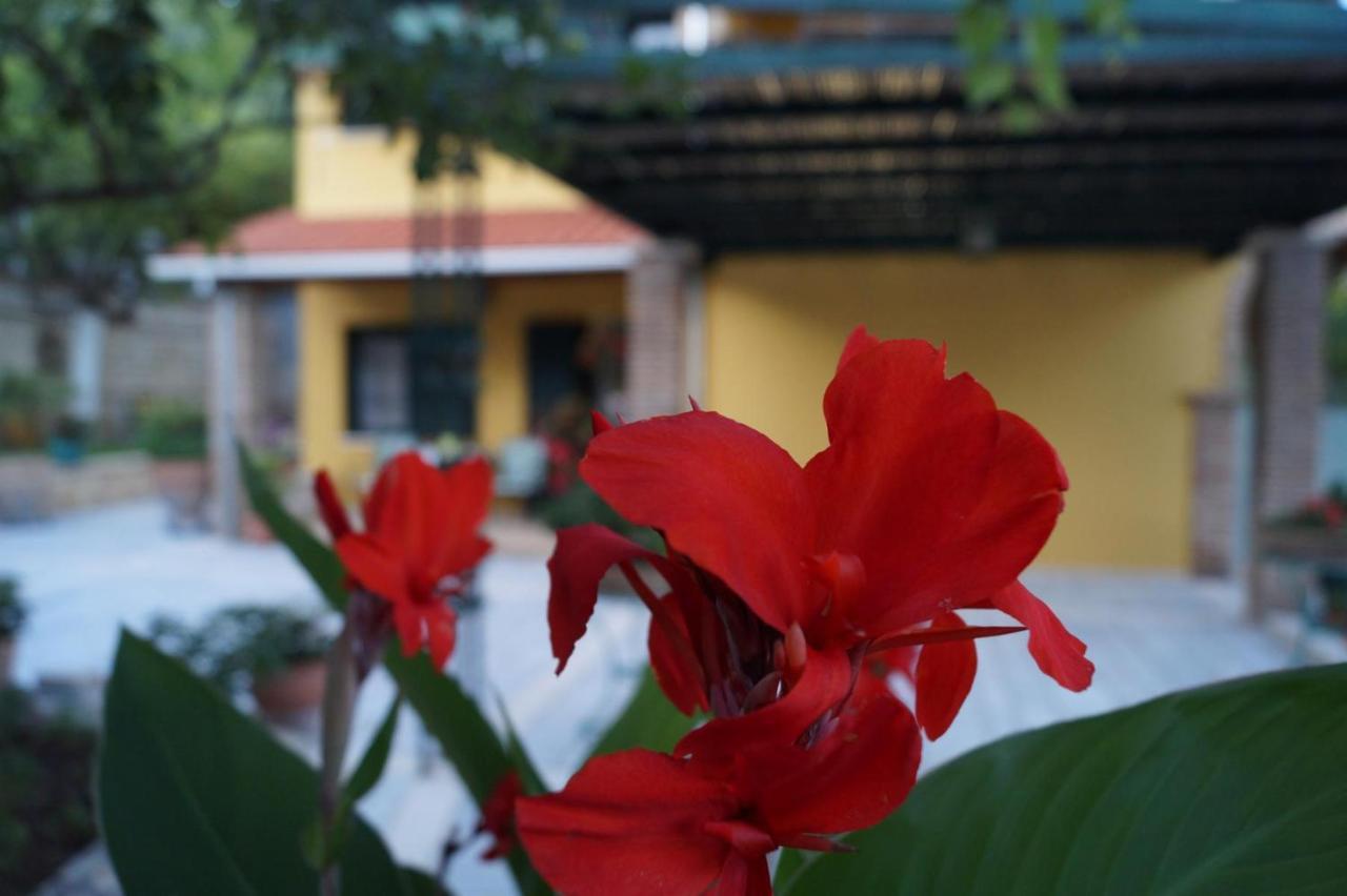 Villa Sofia Парга Экстерьер фото